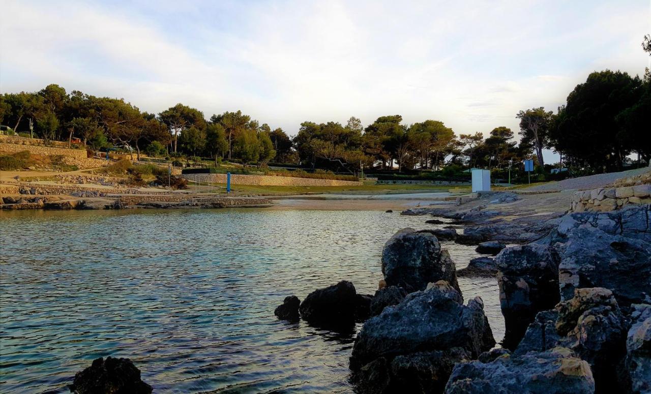 Living Point Mobile Homes Campsite *